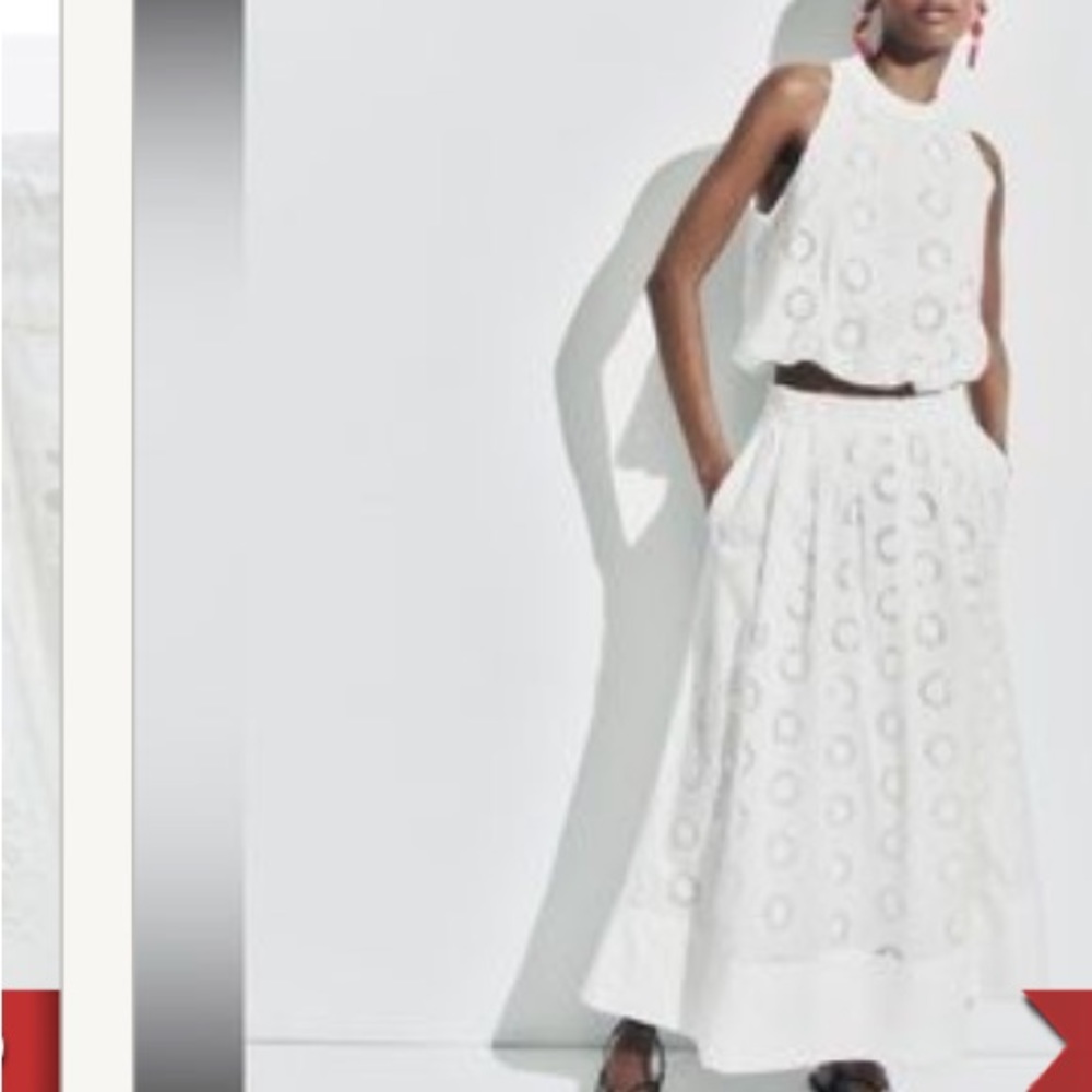 Zara embroidered eyelet skirt (can fit for M too)